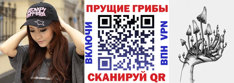 Галлюциногенные грибы Cubensis  наркота  Пойковский 